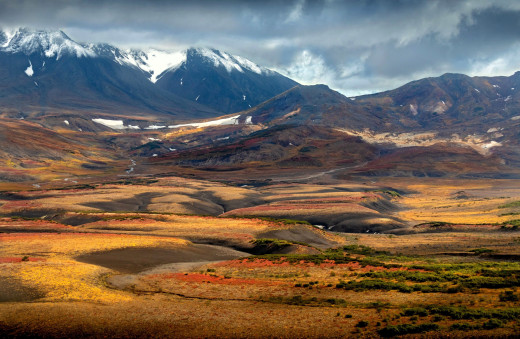 1757733 (a): :3500x2280